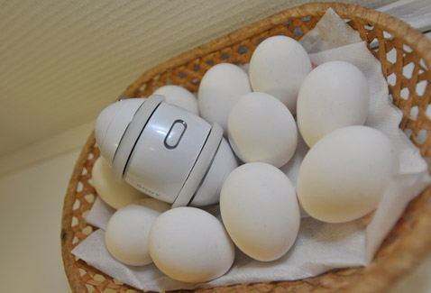"У меня Bluetooth 2.0 Class 2 с поддержкой A2DP и AVRCP, а у вас?" Яйца пристыжённо молчат.